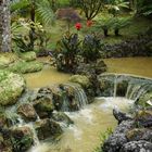 Furnas Park Terra Nostra Eisenhaltiges warmes Wasser