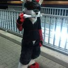 Fursuit