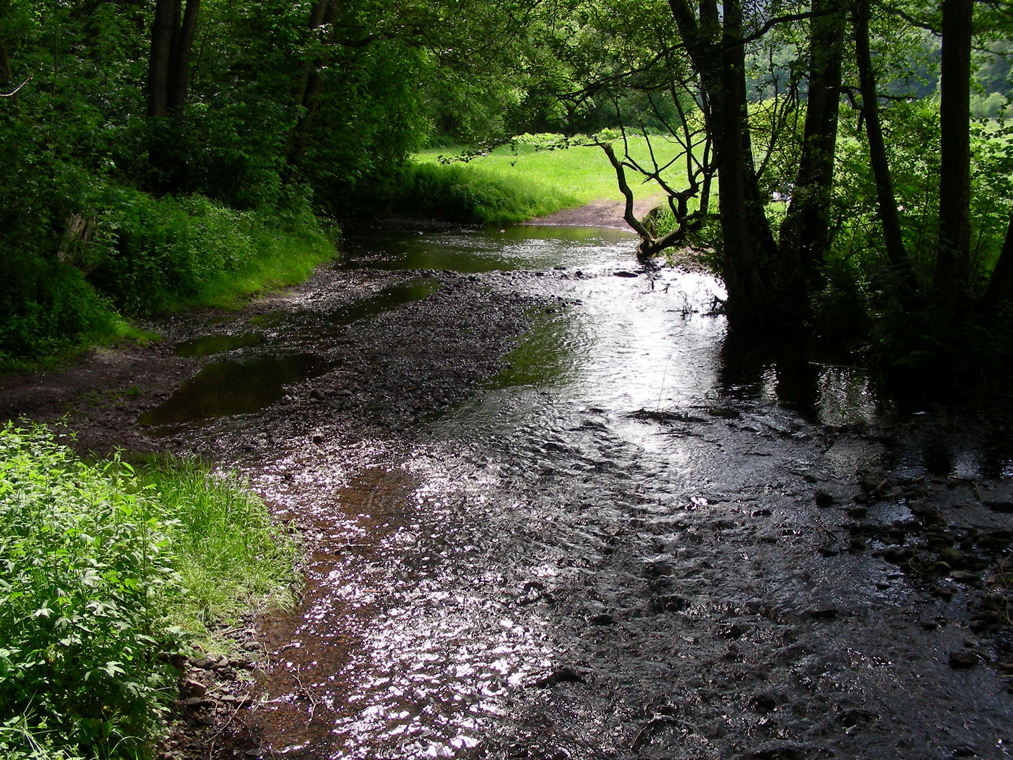 Furt durch die Schorte (bei Ilmenau)