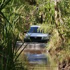 Furt- Litchfield National Park