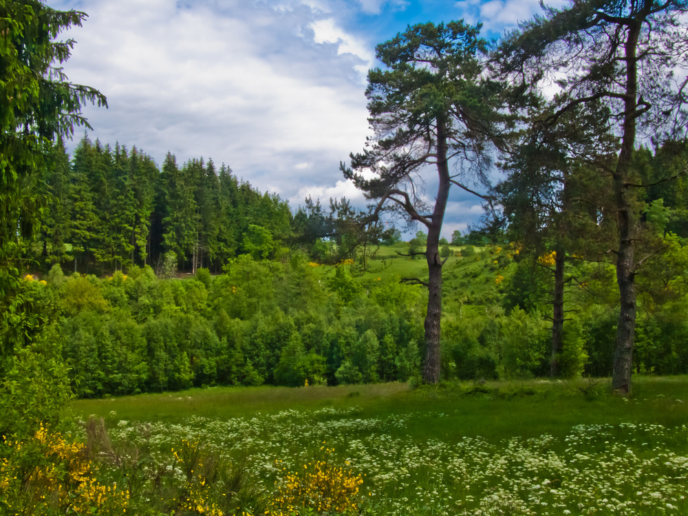 Furthsbachtal