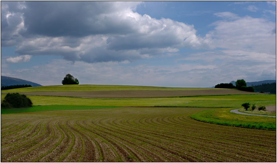 Furtnerteich