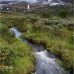 Furuhaugli - Dovrefjell