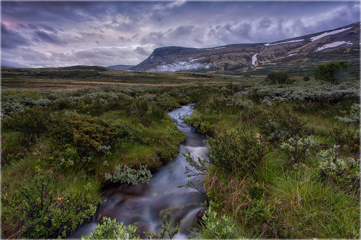 Furuhaugli - Dovrefjell 2