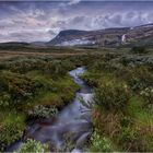 Furuhaugli - Dovrefjell 2