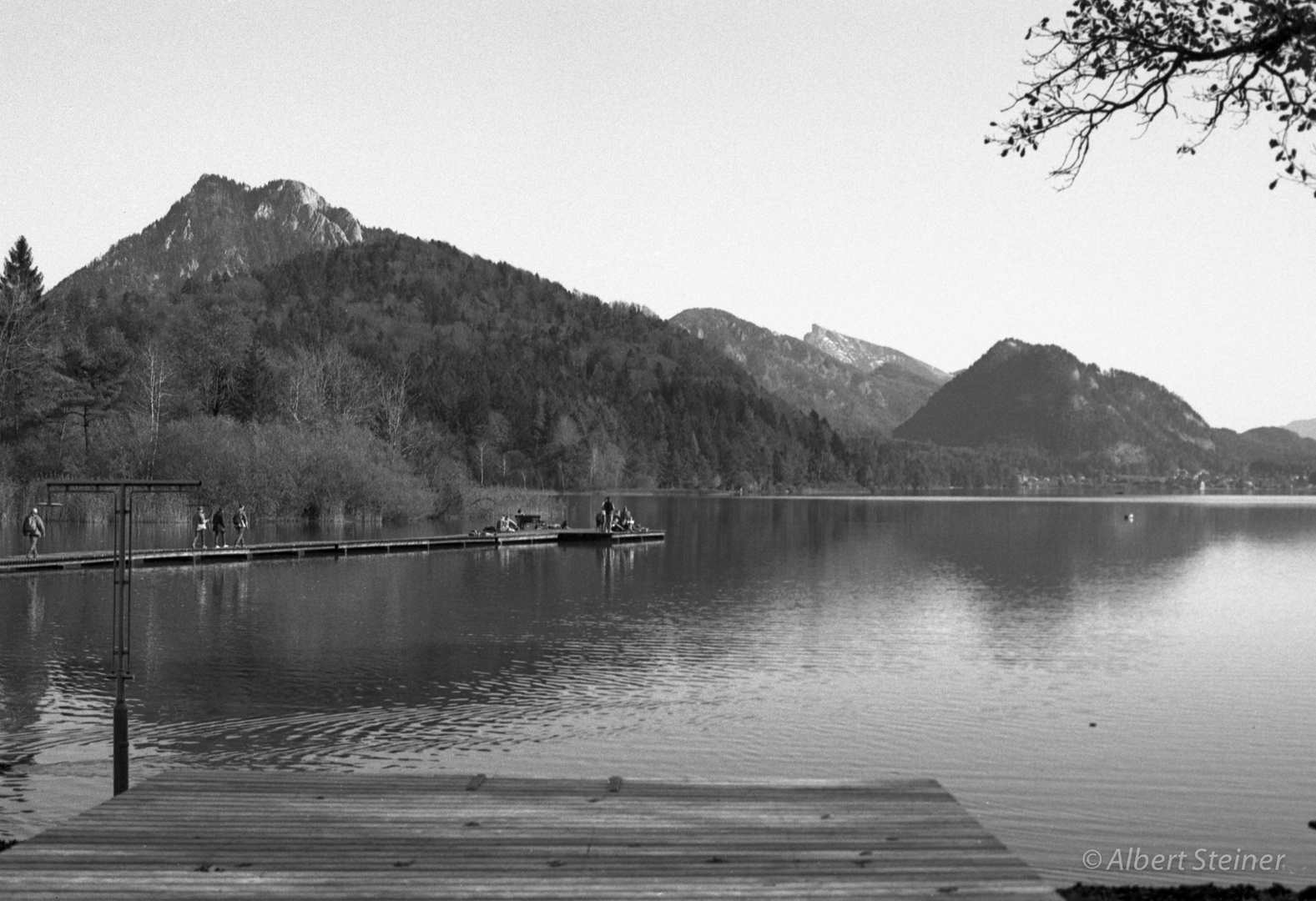 Fuschlsee (analog)