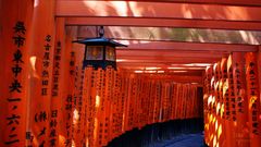 Fushimi Inari