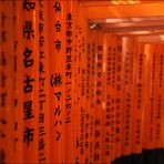 Fushimi Inari I