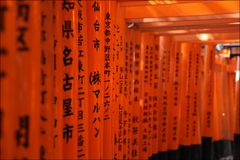 Fushimi Inari I