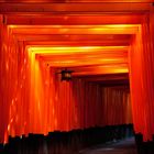 Fushimi Inari II