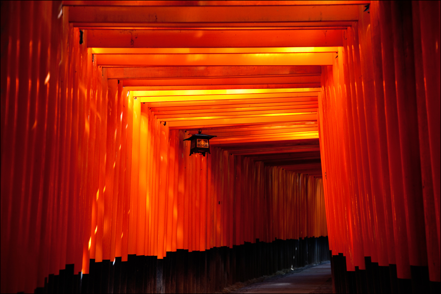 Fushimi Inari II