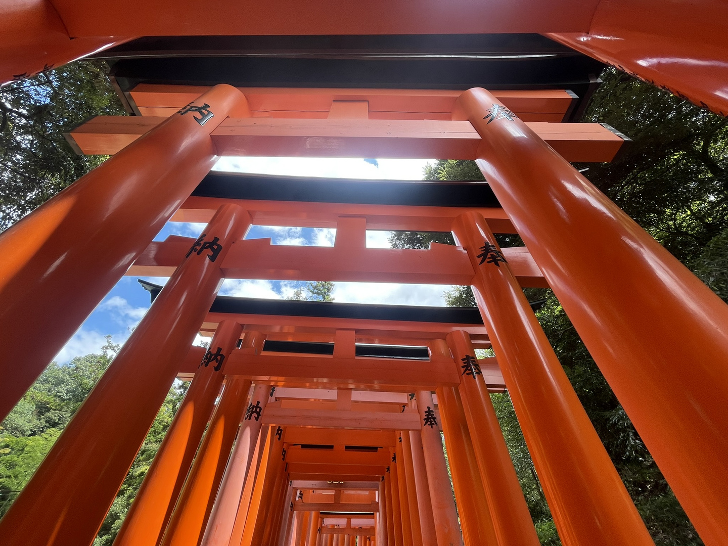 Fushimi Inari Kyoto