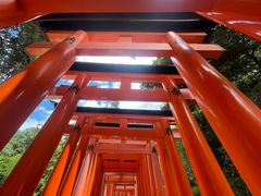 Fushimi Inari Kyoto