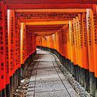 Fushimi Inari Schrein in Kyoto, Japan