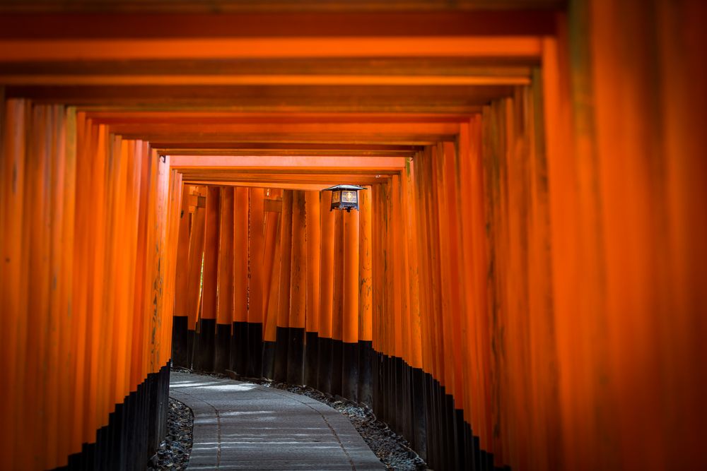 Fushimi Inari-Taisha 2