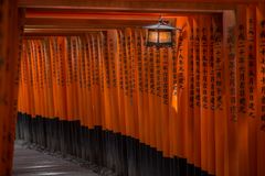 Fushimi Inari-Taisha 3