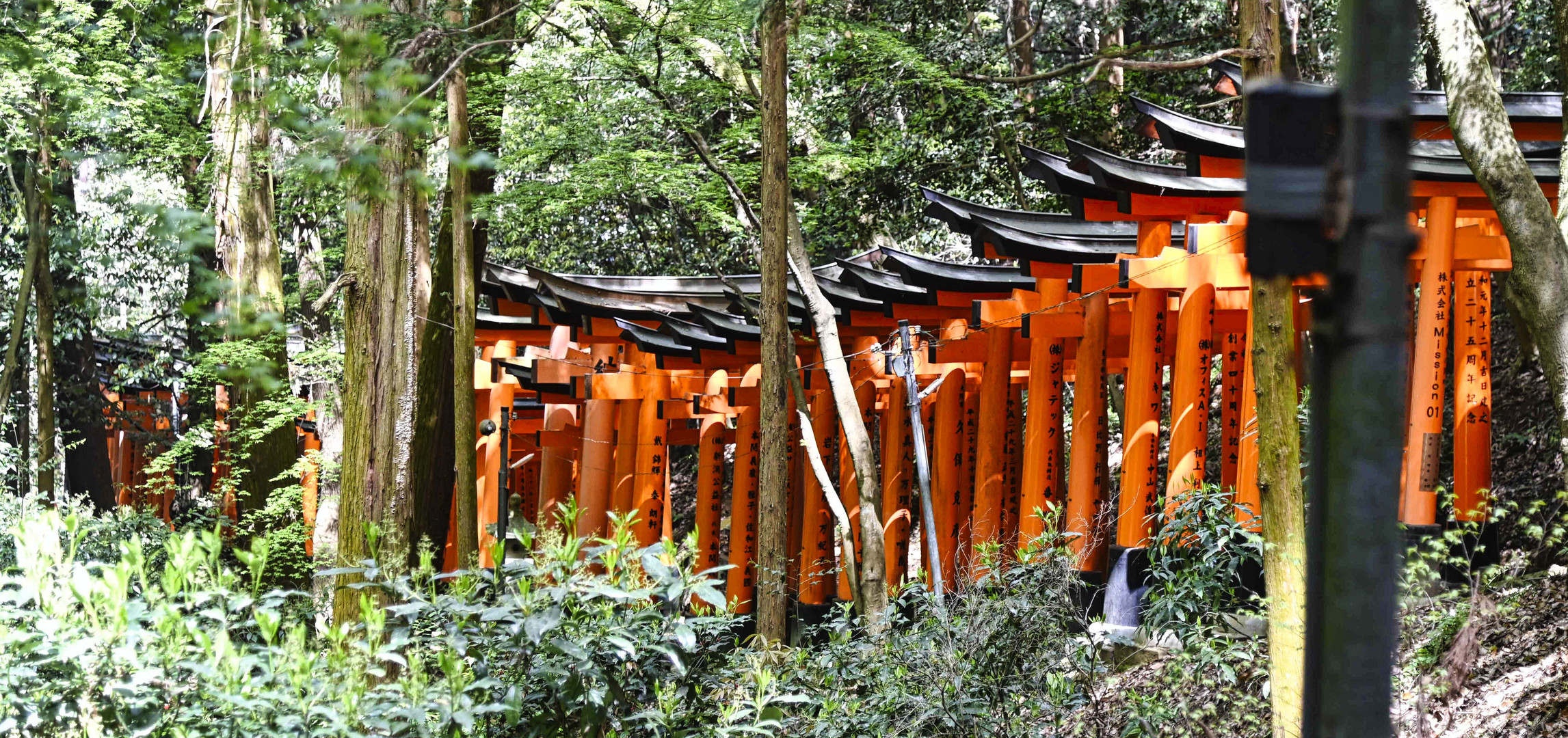 Fushimi Inari Taisha: Durch 1000 Tore gehen