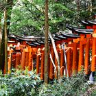 Fushimi Inari Taisha: Durch 1000 Tore gehen