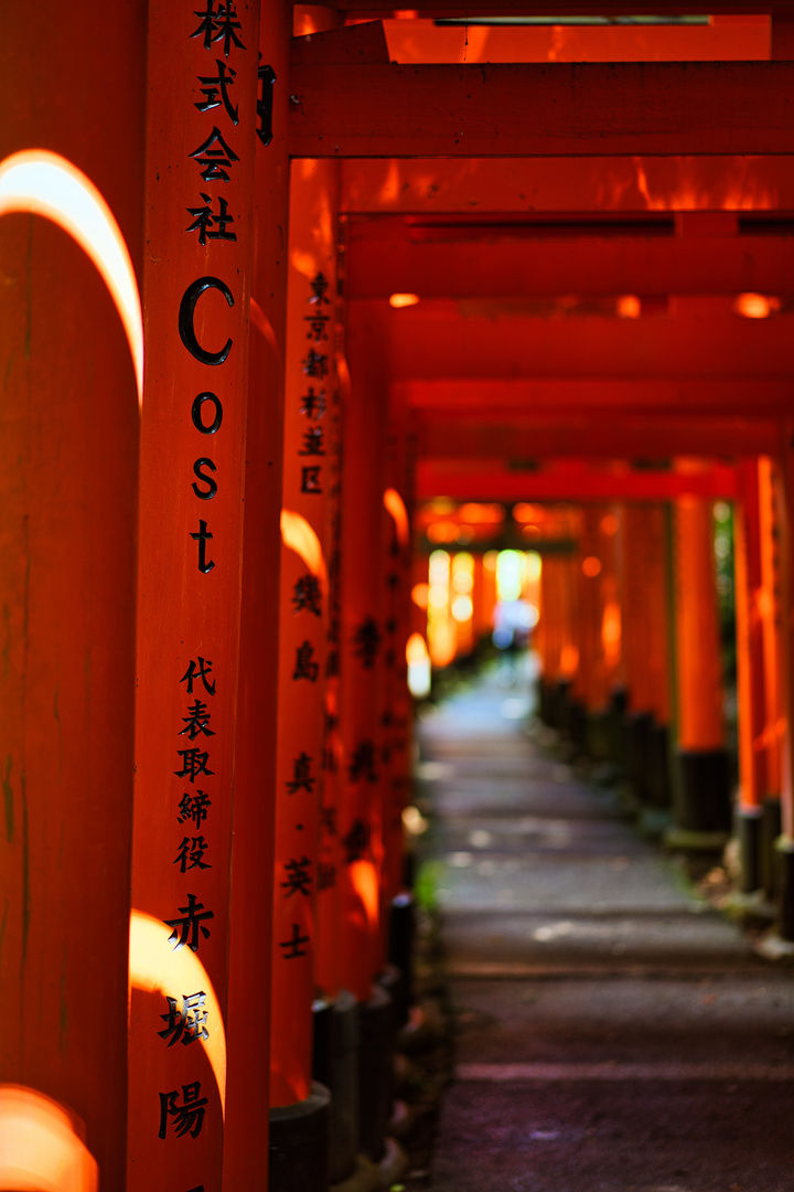 Fushimi inari Taisha, Kyoto