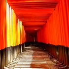 Fushimi - Inari Taisha, Kyoto, Japan