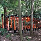 Fushimi Inari-Taisha (Oinari-sanin) in Kyoto 