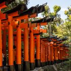 Fushimi Inari Taisha Schrein in Kyoto