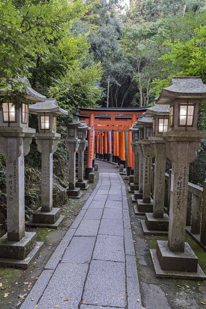 Fushimi Inari-Taisha Torri