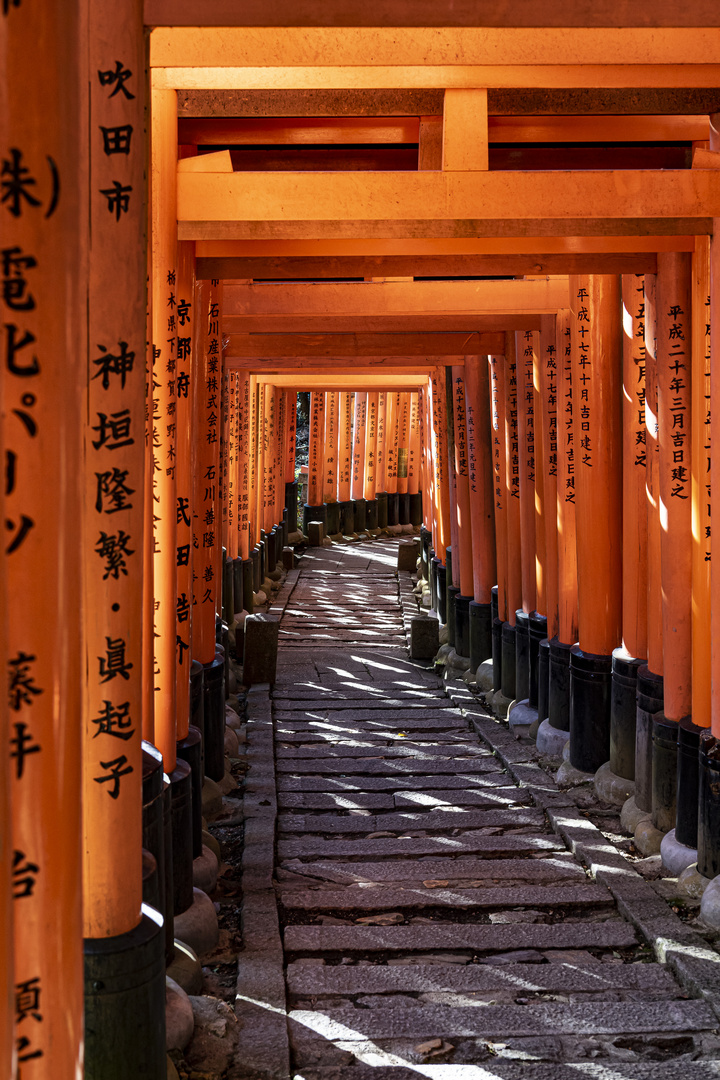 Fushimi Inari-Taisha Torri