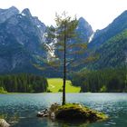 fusine see bei tarvisio 1 die kleine insel