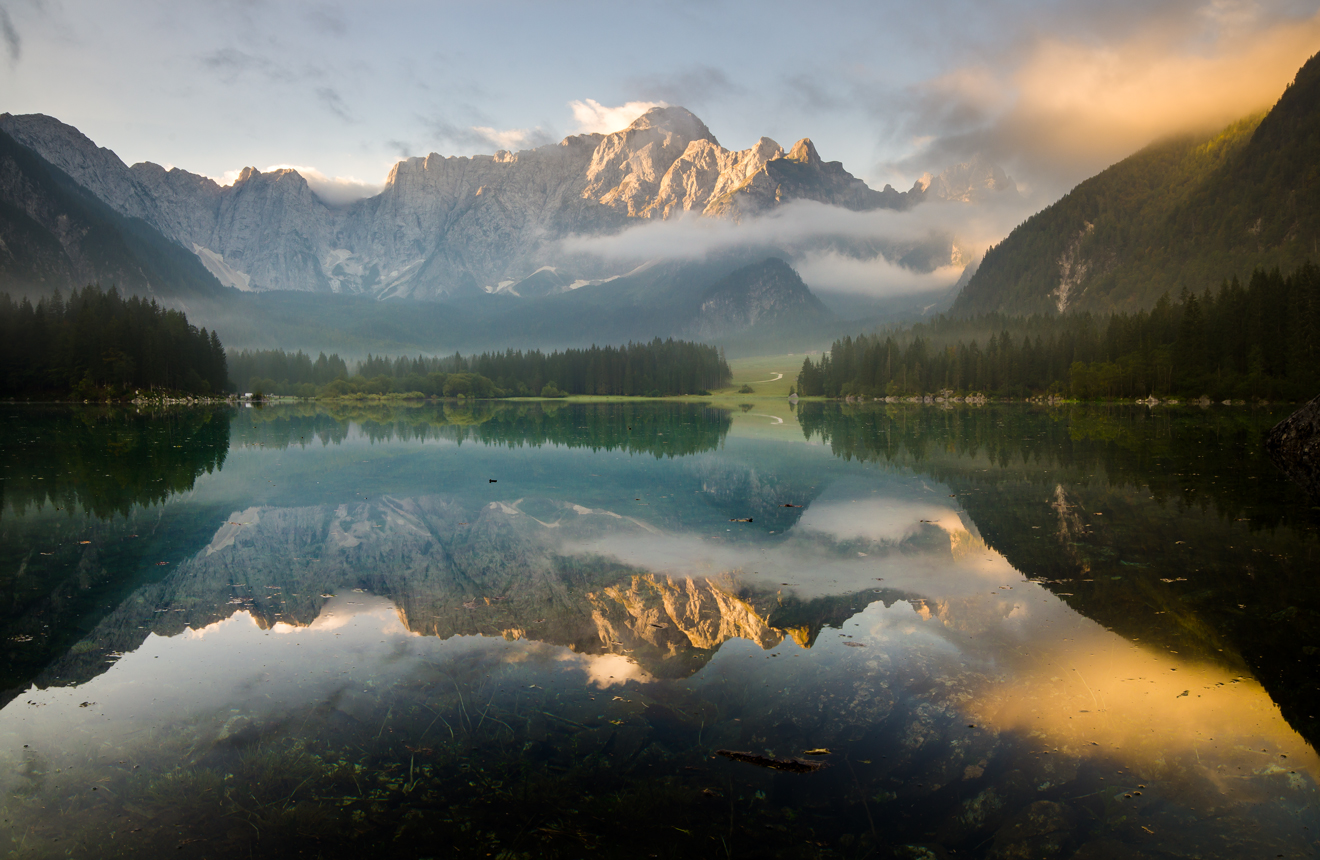 Fusine wakes up from sleep