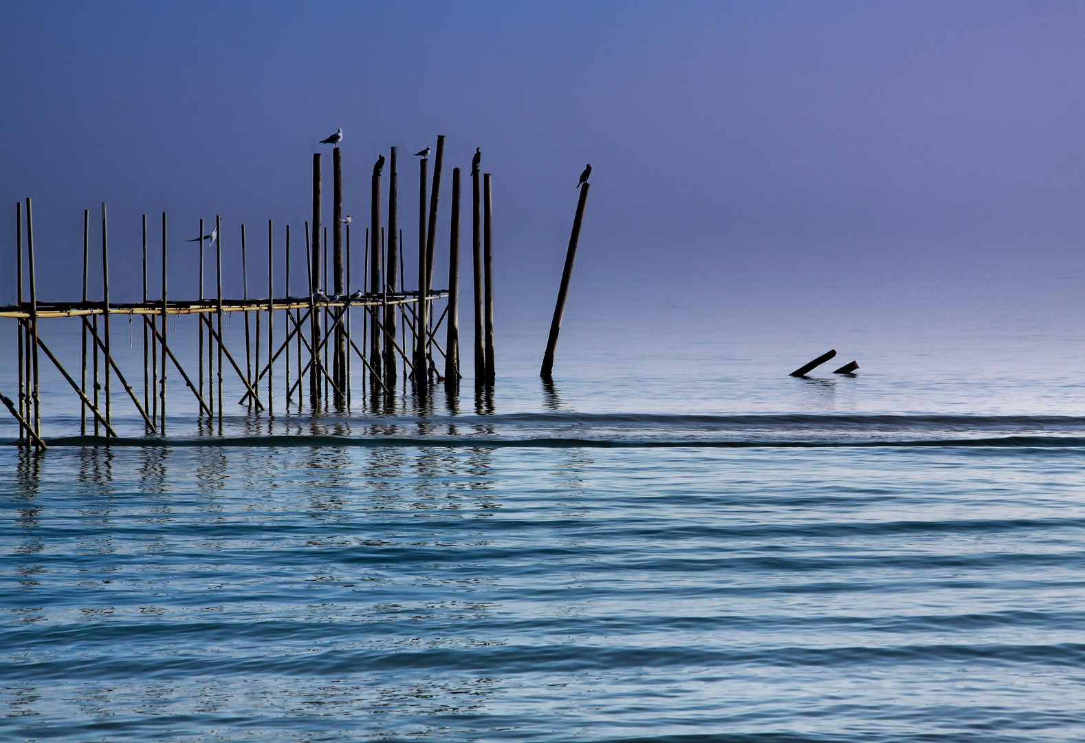 fusione di blu