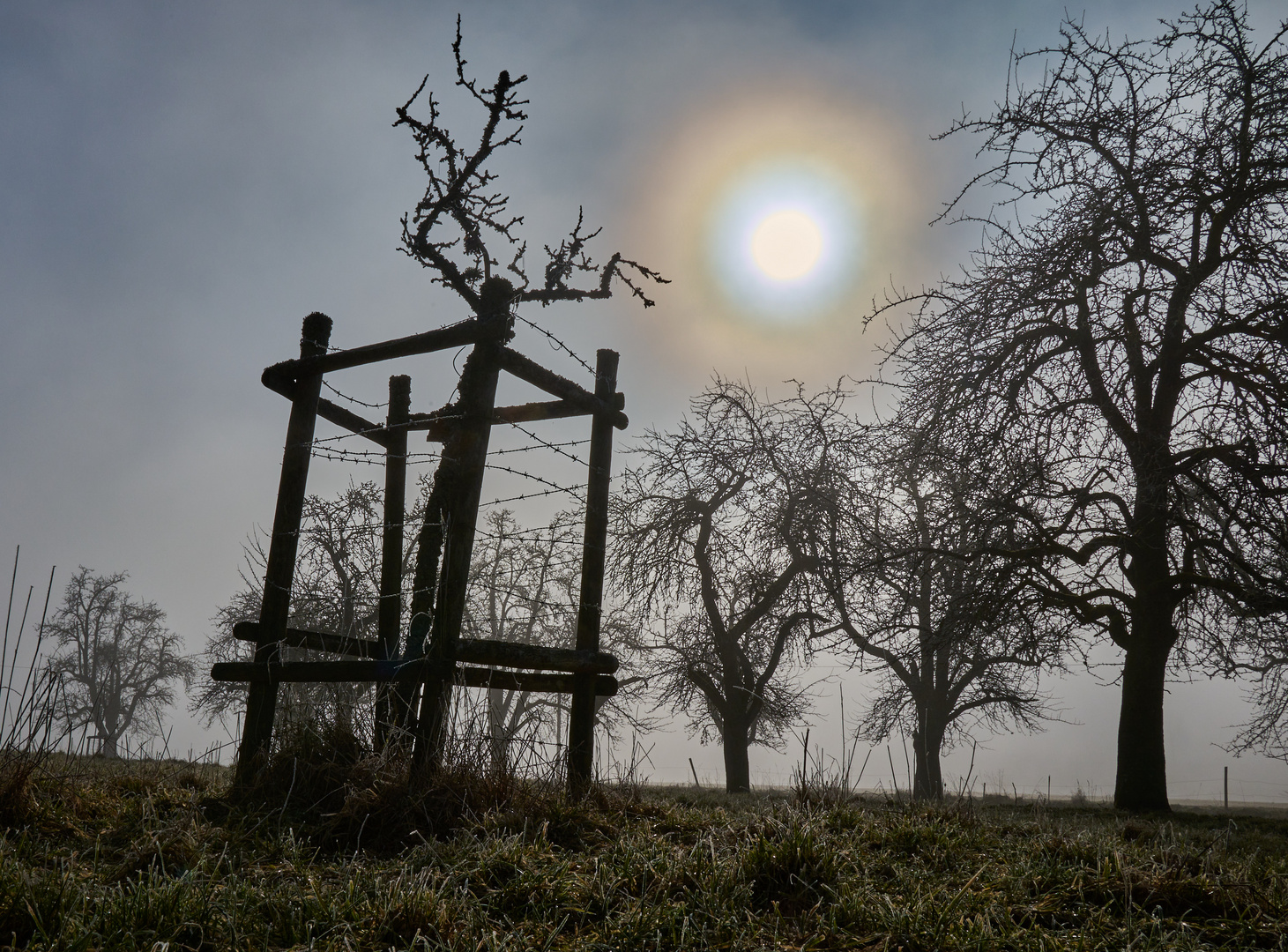 Fusionskraftwerk hinter Nebel