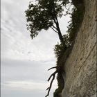 Fuß des Königsstuhls (Rügen)