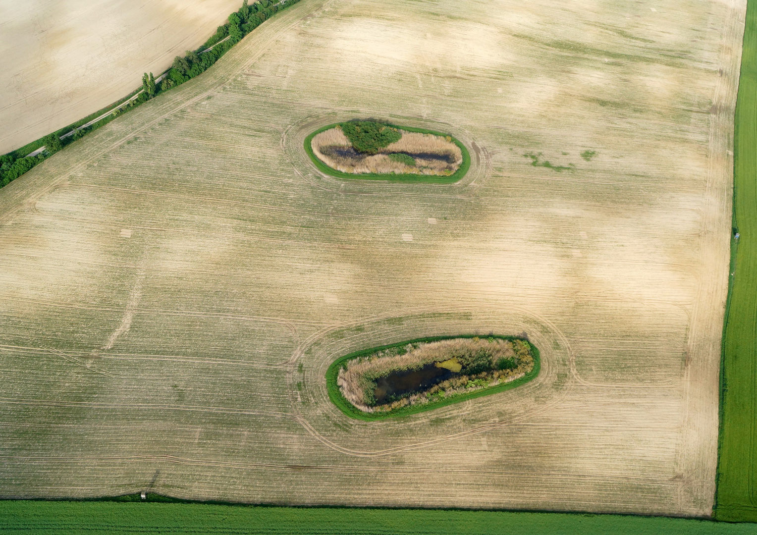 Fußabdruck auf dem Feld?