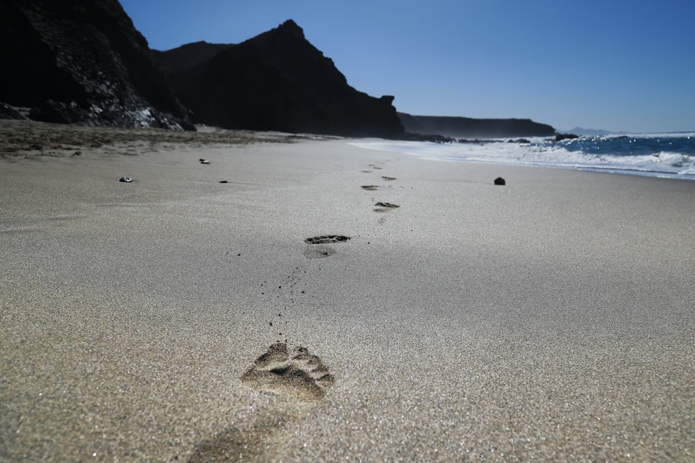 Fußabdruck - Fuerteventura