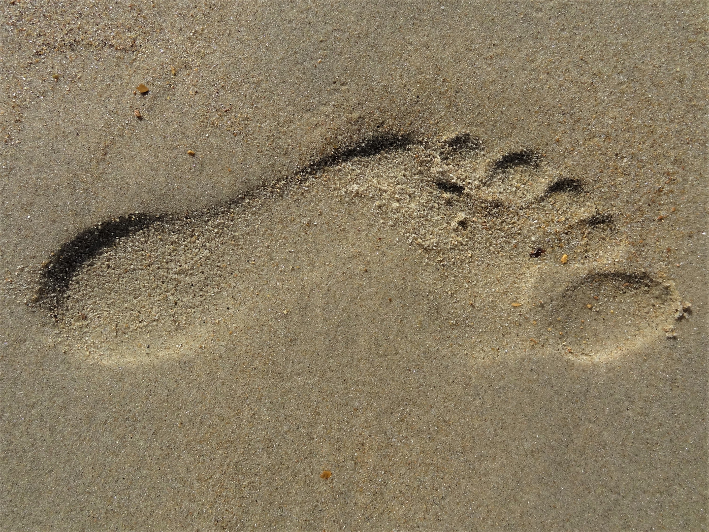 Fußabrdruck im Sand