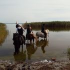 Fußbad am Bodden - Spiegeltag 13.10.2020