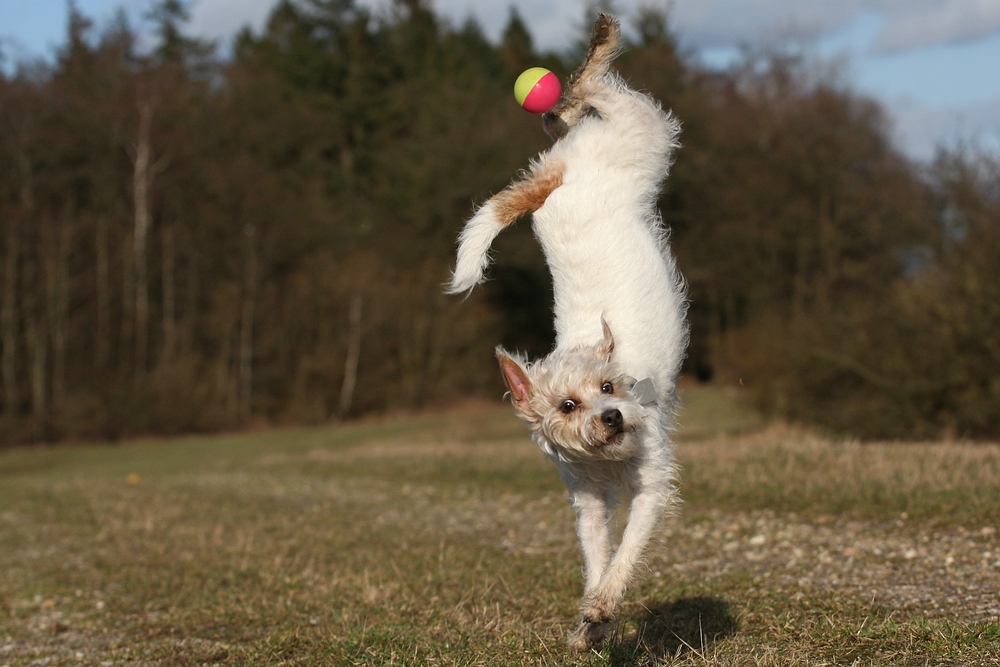 Fußball;)