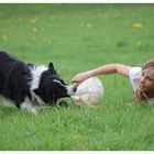 Fußball auf Hundisch...