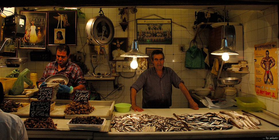 Fussball, Fisch & Gläubigkeit