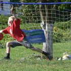 Fußball in Nachbars-Garten