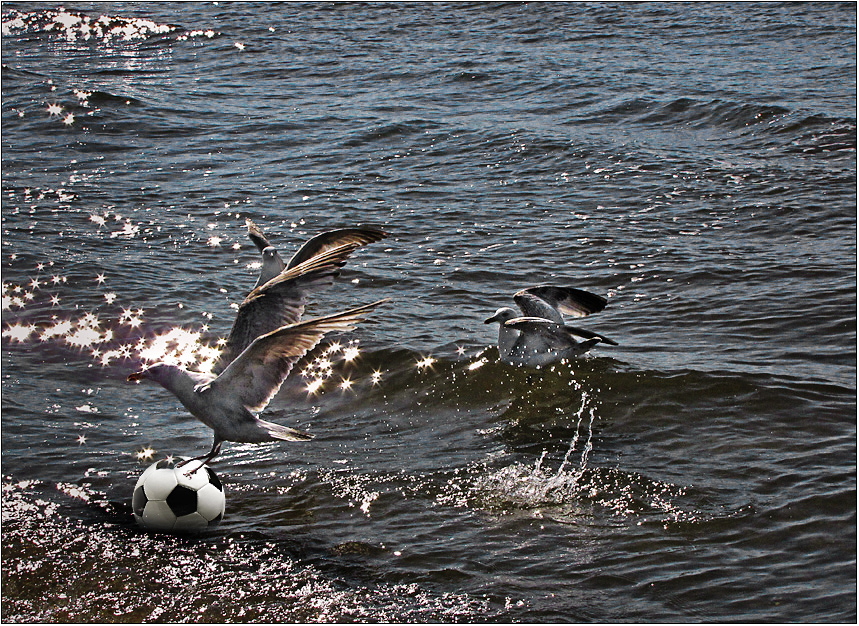 Fußball kann doch richtig Spaß machen ... ;-)