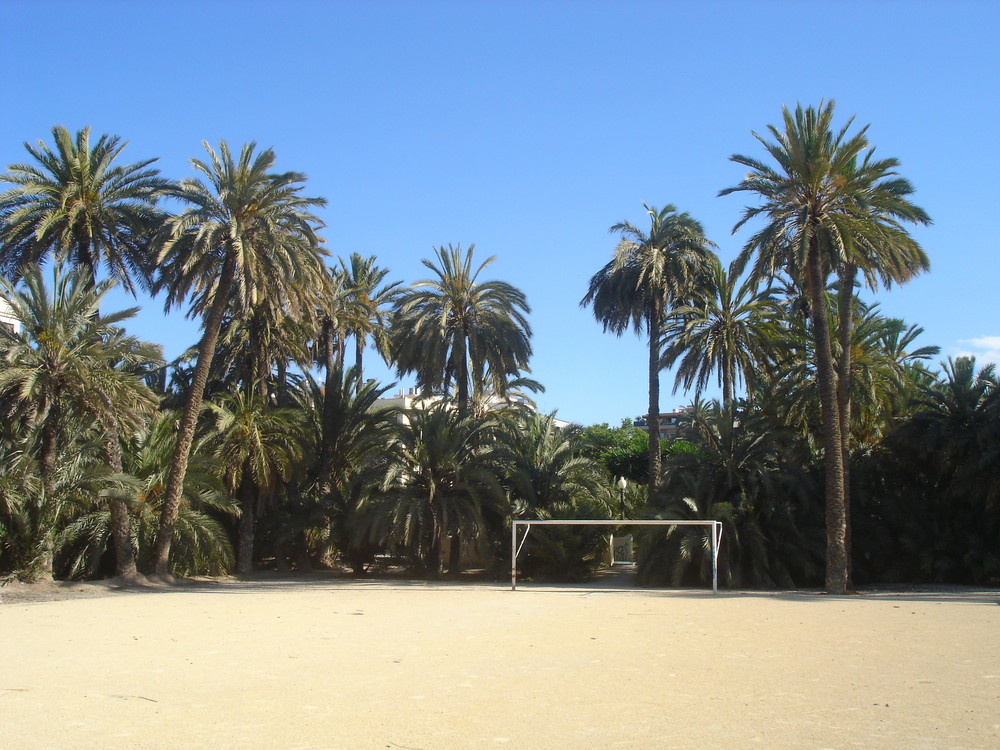 Fussball unter Palmen in Elx