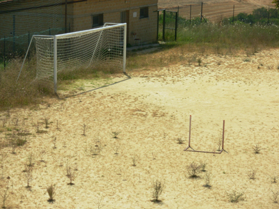 Fußball - war mal ...