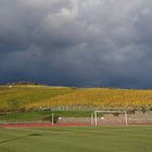 Fussball - Wein - Weltuntergang...