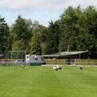 Fussball ? - Wir wollen auch mitspielen