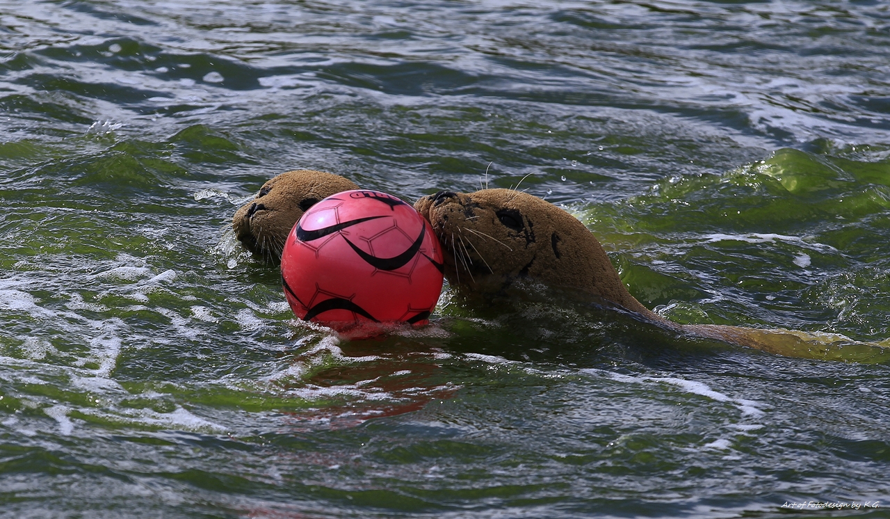 Fußballduell morgen um 18:00 Uhr