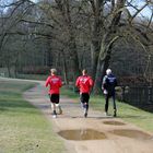 Fußballer des FC Energie Cottbus beim Training