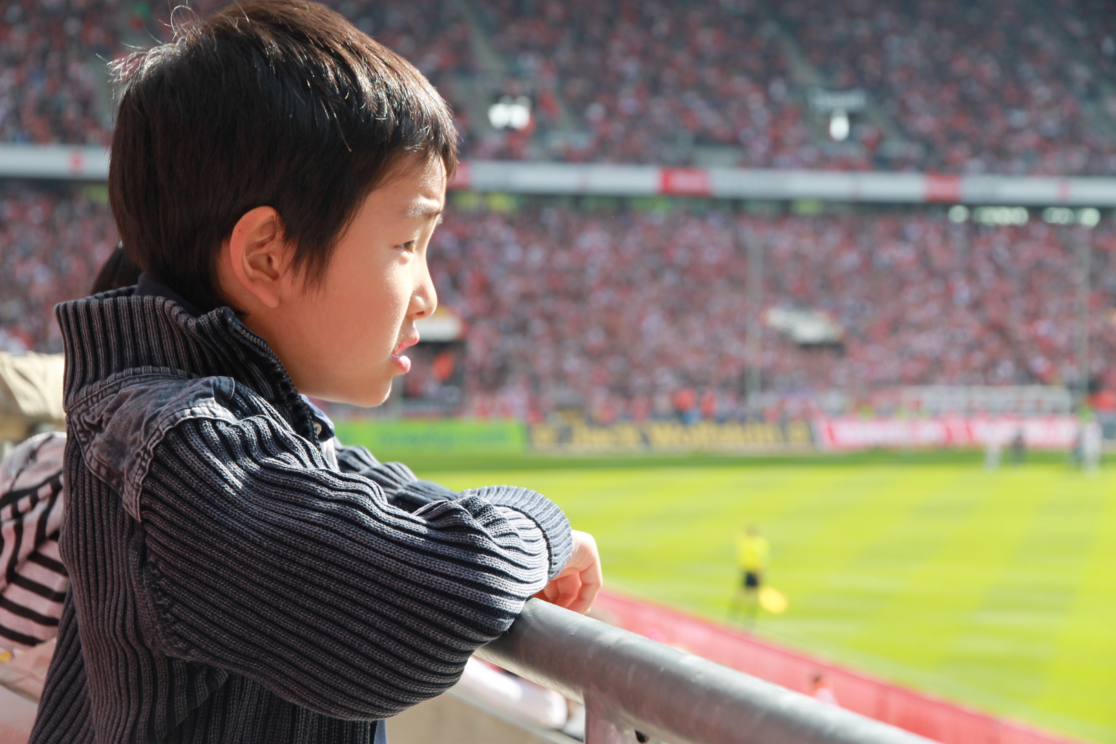 Fussballfan