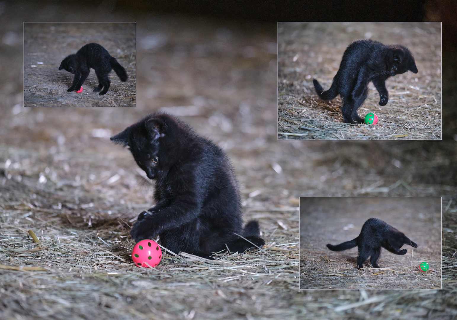 Fußballtalente in Aktion